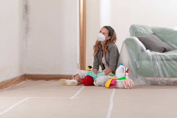 Reliable Mold Removal contractor in Nashville, IL by Mold Remediation HQ